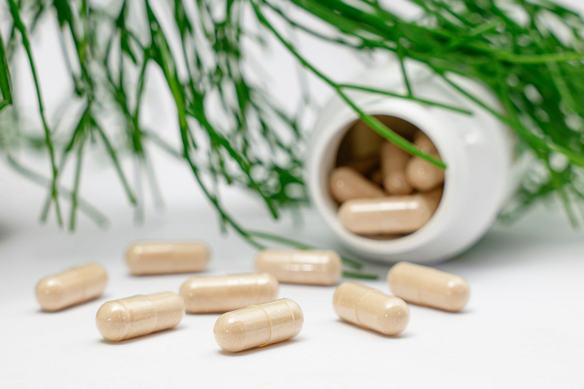Ashwagandha Powder